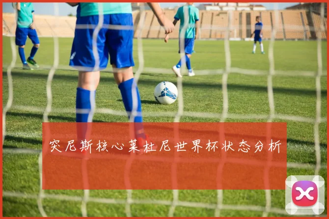 突尼斯核心莱杜尼世界杯状态分析