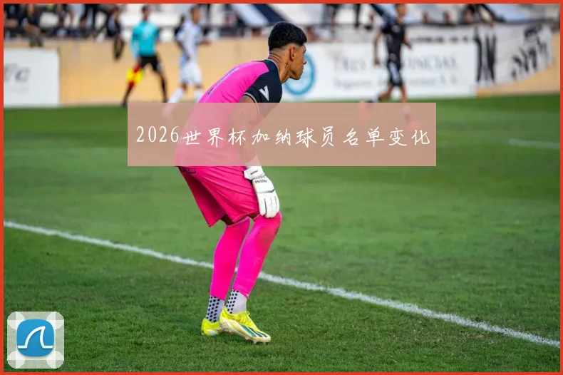 2026世界杯加纳球员名单变化