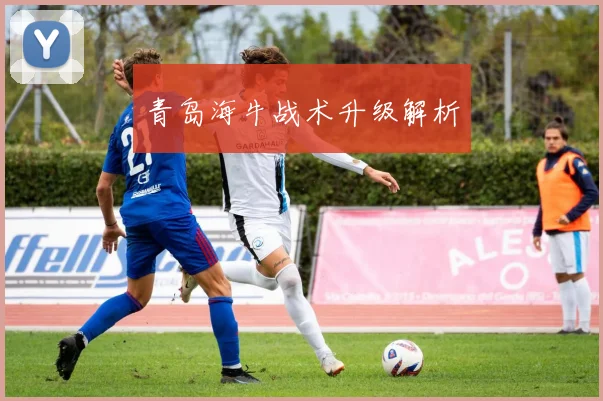 青岛海牛战术升级解析