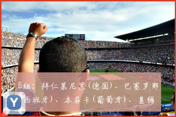 E组：拜仁慕尼黑(德国)、巴塞罗那(西班牙)、本菲卡(葡萄牙)、基辅迪纳摩(乌克兰)