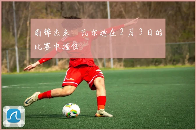 前锋杰米・瓦尔迪在 2 月 3 日的比赛中撞伤
