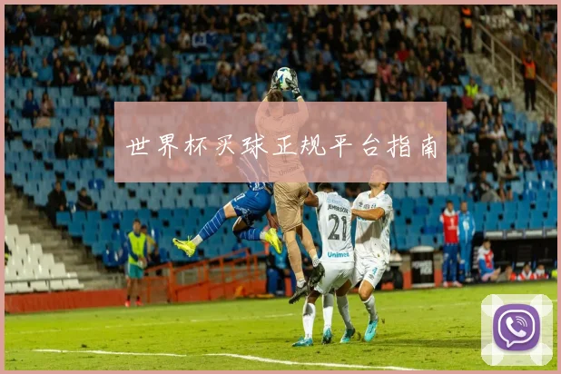世界杯买球正规平台指南