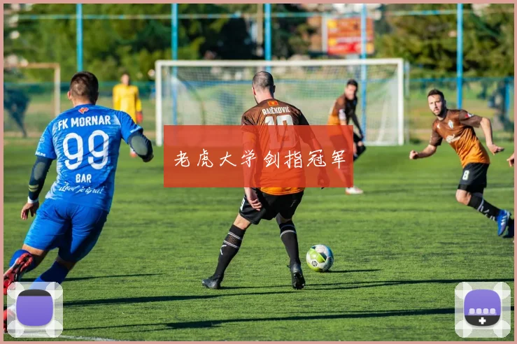 老虎大学剑指冠军