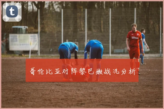 哥伦比亚对阵黎巴嫩战况分析