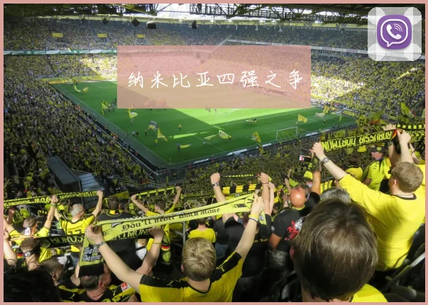 纳米比亚四强之争