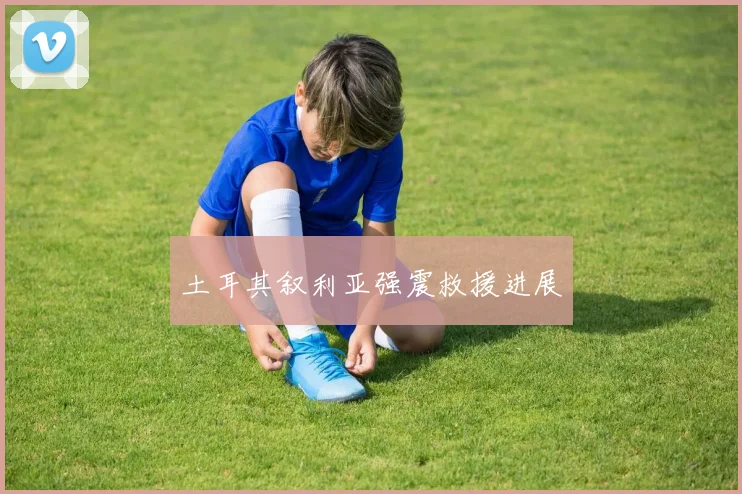 土耳其叙利亚强震救援进展