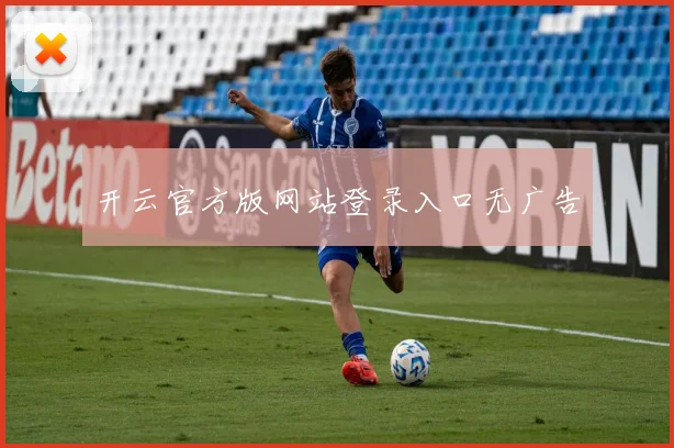 开云官方版网站登录入口无广告