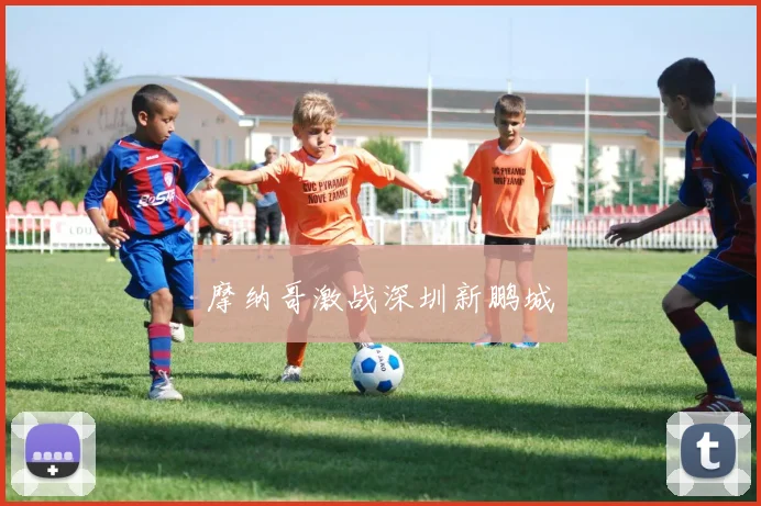 摩纳哥激战深圳新鹏城