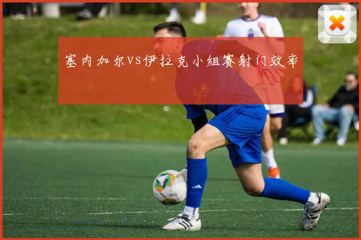 塞内加尔vs伊拉克小组赛射门效率