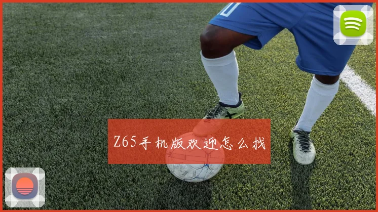 Z65手机版欢迎怎么找