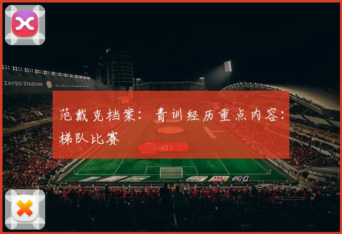 范戴克档案:青训经历重点内容:梯队比赛
