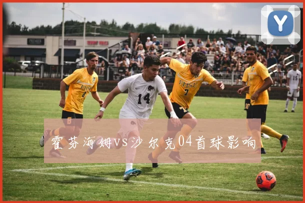 霍芬海姆vs沙尔克04首球影响