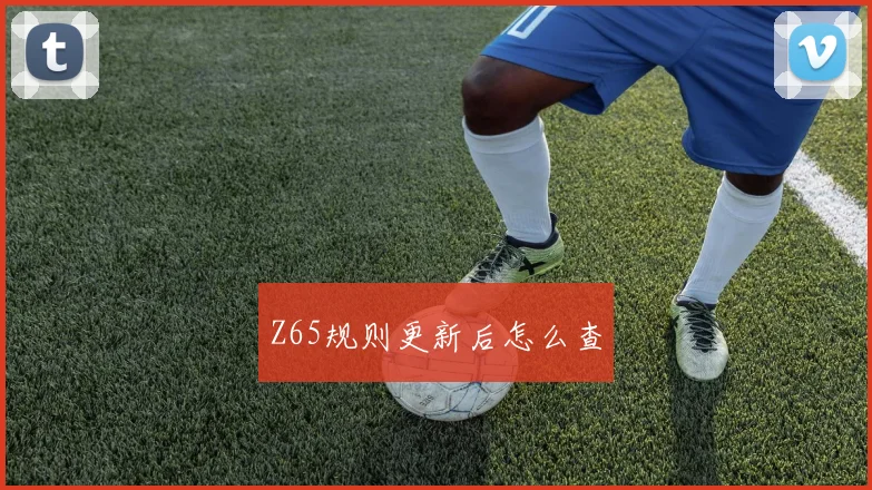 Z65规则更新后怎么查