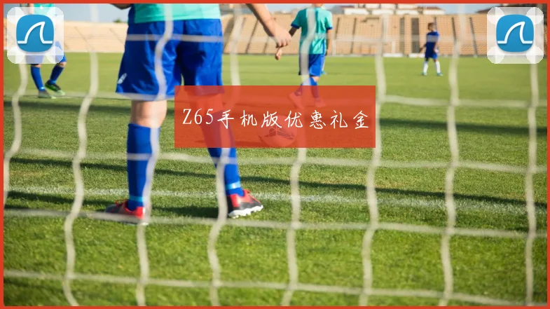 Z65手机版优惠礼金