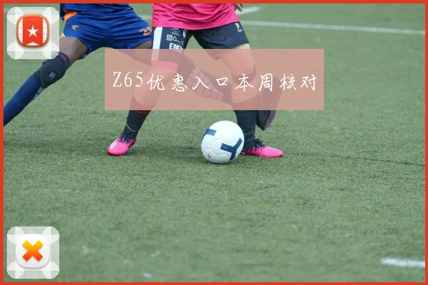 Z65优惠入口本周核对