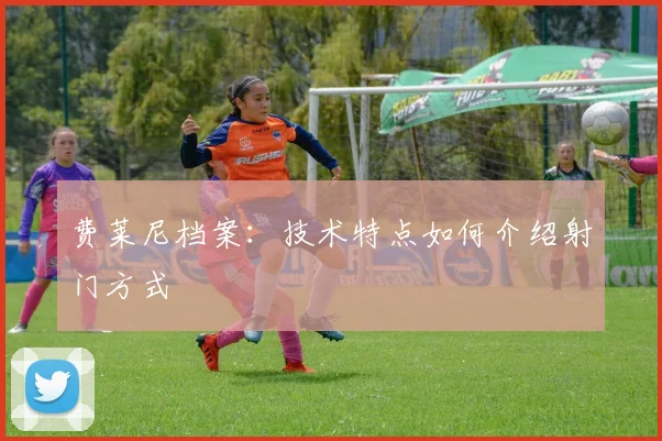 费莱尼档案：技术特点如何介绍射门方式