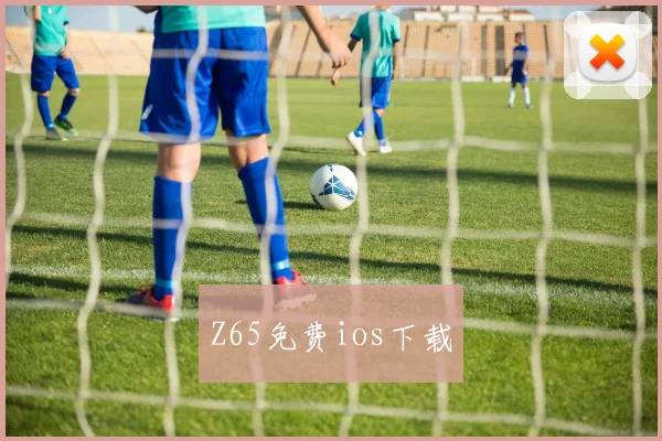 Z65免费ios下载