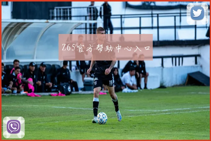 Z65官方帮助中心入口